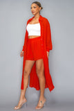 MISS AVENUE Chiffon Button Down Long Sleeve Side Slit Long Top With Short Set