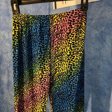 Load image into Gallery viewer, Rainbow Animal Print Leggings, Size 8-14, 15J-L026